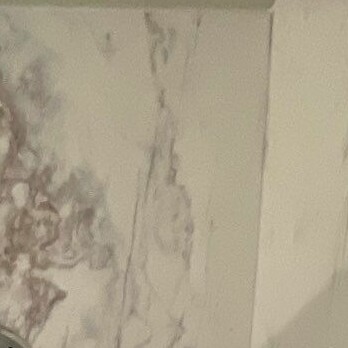 Mold and Mildew Resistant Materials